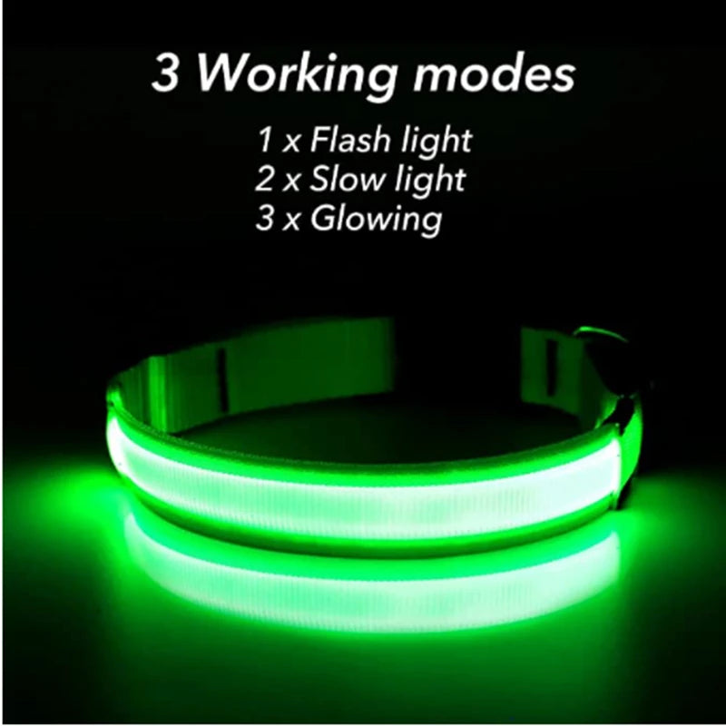 GlowPup