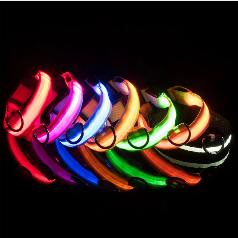 GlowPup