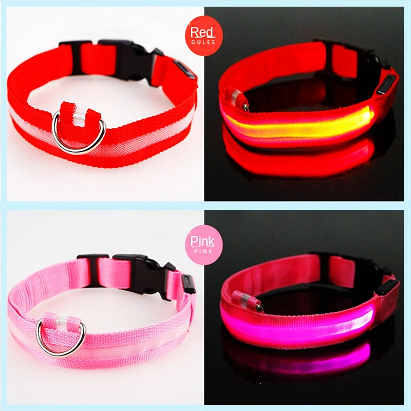 GlowPup