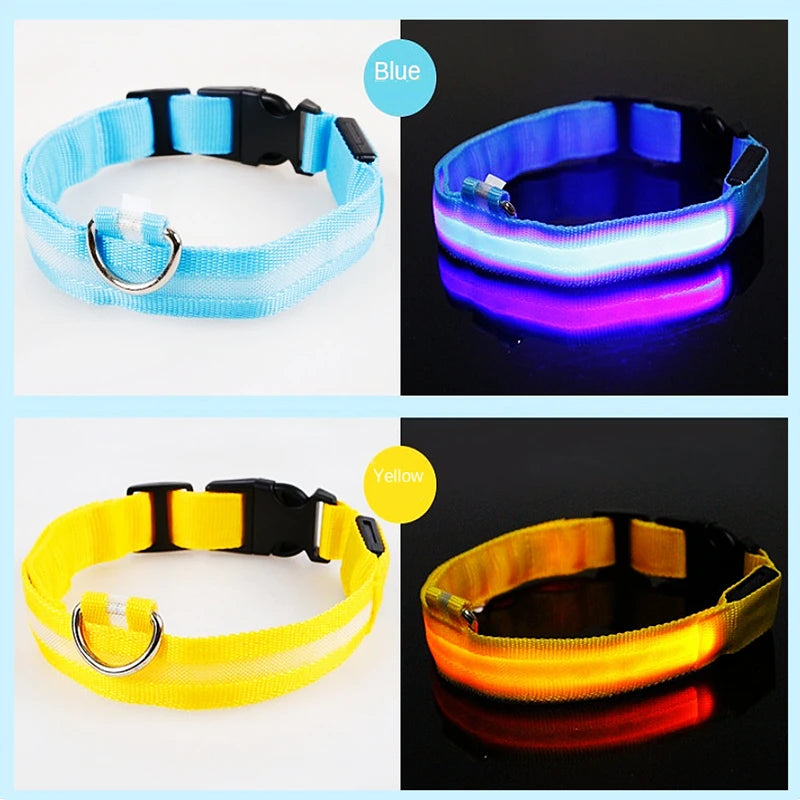 GlowPup